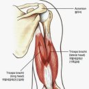 와이투짐 행신역점 이미지