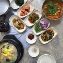 달리골농장 | 서산 먹자골 맛집 현지인 예약 가득한 삼계탕 닭개장 서산촌닭