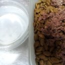 멘토동물병원 이미지