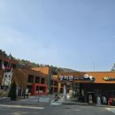 숨은 숲에서 감각을 열다. | 🌲 국립 춘천 숲체원 1박2일 후기｜아이랑 가기 좋은 숙소 + 가성비 여행 추천