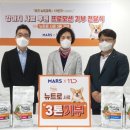 애견 11번가 이미지