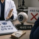 실손 전액 된다" 믿고 800만원 백내장 수술…환자만 소송비까지 '독박 이미지