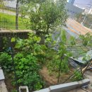 계륵동길 이미지