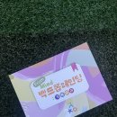 아모르파티(미술치료) | 사경미감 미술치료 백드롭 페인팅diy키트 체험 후기