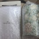 굿츄즈 | 픽앤츄즈 미니 보이차 추천 집들이 선물 시부모님 선물 강력 추천