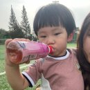 소사벌레포츠타운축구장 네이버블로그
