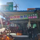 장보는 강아지와 고양이(김해진영점) | 주말쇼핑 밀양 도래재 사과농장 김해 코스트코 방문기