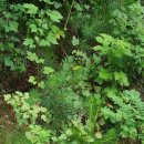 천생산 약수터 이미지