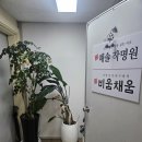 해솔유치원 | 성동개명 - 해솔작명원 대학합격선물 개명!!!