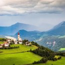 따스한 동물병원 이미지