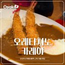 카레야 | 일본 오사카 난카이난바역 근처 오레타치노카레야 후기