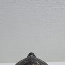 옛날 어보 옥쇄 거북옥새 동옥새 왕옥새 골동품 판매 목록 사진 자료 골동품 파는곳 사는곳 골동품나라 진품명품 이미지