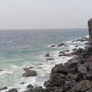 위미1리 이미지