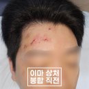 강동실비