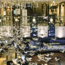 유로파크 | 창원웨딩홀 웨딩유로부페파크 예식장 후기·실제 신랑신부가 말하는 만족도