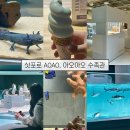 현대수족관 | 삿포로 스스키노 아오아오 수족관, 아이랑 펭귄 AOAO 예약
