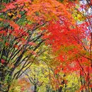 평창 우통수 이미지