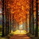 나주 산림자원연구소(2025.11.29) 이미지