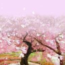 열두바구니 이미지