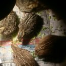 소영농장 이미지