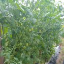 워니 농장 이미지