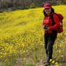 해피민박 이미지