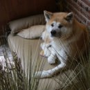 이매역 3번출구 이미지