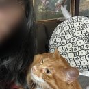 솔터고등학교 | 새해 복 많이 받아!