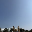 수산과학관 | 해동용궁사 보고 바로 가기 좋은 코스, 국립수산과학관 후기