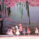 광명극장 공연장 이미지