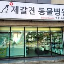 제갈견 동물병원 이미지