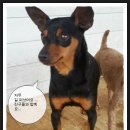 기다리다 이미지