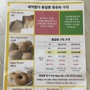 ㈜옛향기마을방앗간 | [제10회 비건페스타]부스 후기2(새록담,오트앤넛츠,데이빗스 픽, 바오푸드, 테라에판, 네이처 컷츠...