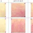 크림개발 네이버블로그