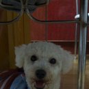 욱이유통