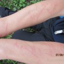 하소약국 이미지