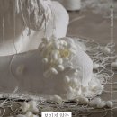 박도우展 ˝보이지 않는˝ 이미지
