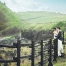 대명리조트 제주 이미지