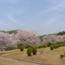 안산 와동체육관 이미지