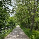 소양강로 이미지