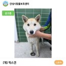 파라다이스-I 이미지