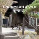 숲속원룸 | 국립 지리산자연휴양림 숙소 숲속의집 영신봉 후기