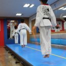 용인대 힘찬 태권도 이미지