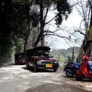 전일농장 이미지