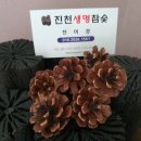 이시종 | 진천맛있는빵집 쌀로만든빵 미잠미과 다녀온 솔직후기