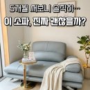 디쟈트가구 | 디쟈트가구 크로이소파 사용후기 내돈내산 5개월 실사용 리뷰