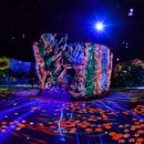 광부의 교육장 이미지