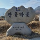 옥곡 장동리 쌍효정려비 네이버블로그
