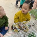 슬기어린이집 이미지