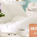 세사리빙 이미지